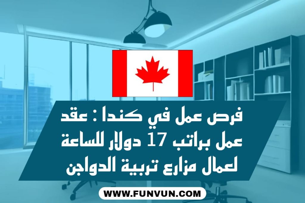 فرص عمل في كندا: عقد عمل براتب 17 دولارًا للساعة لعمال مزارع تربية الدواجن